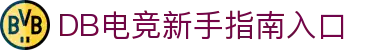 DB电竞多赛事频道入口覆盖全球热门电竞赛事的一站式观看平台